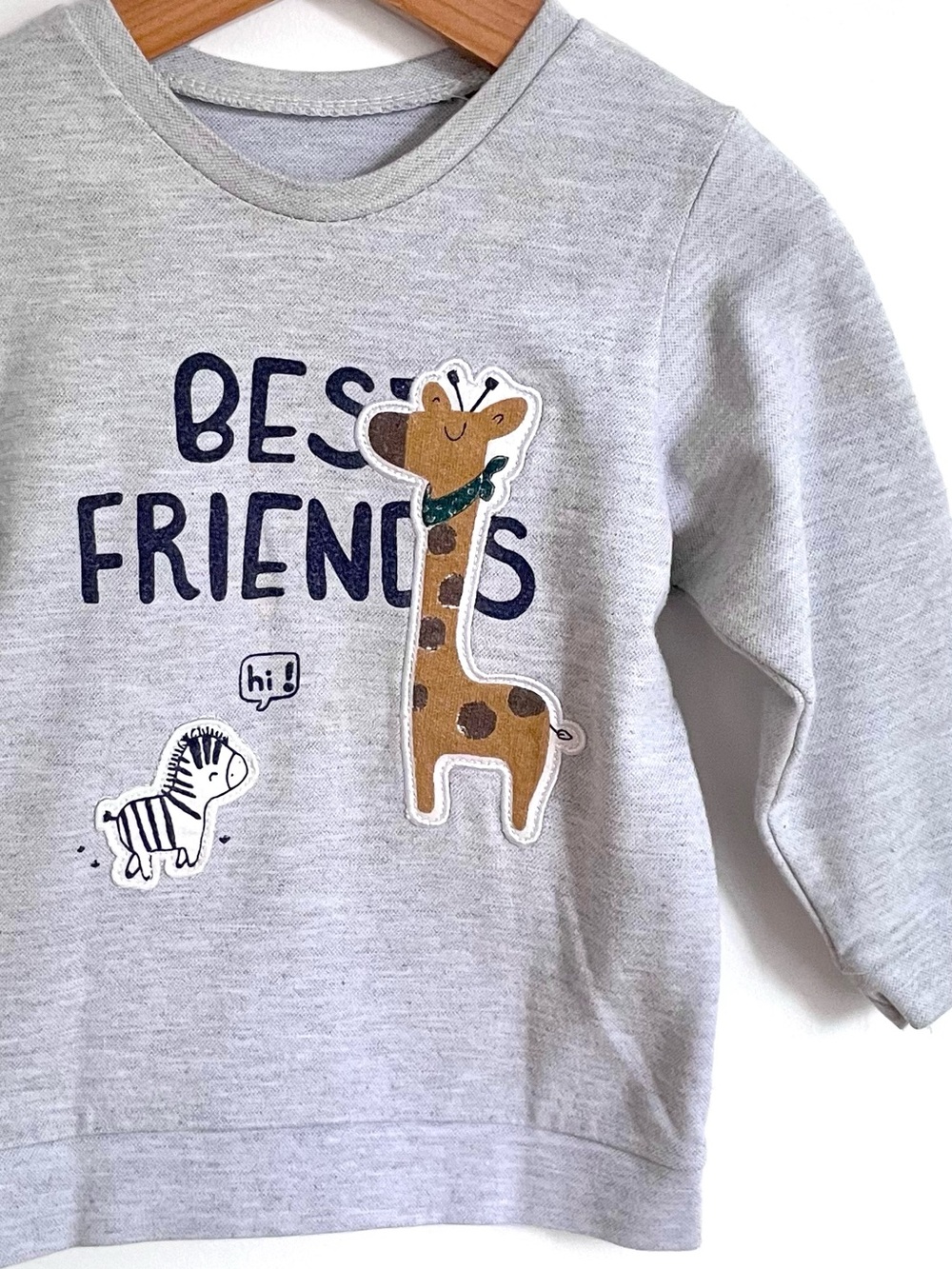 4/$20💥Like New Best Friends Giraffe Zebra Sweatshirt, French Terry, Appliqués